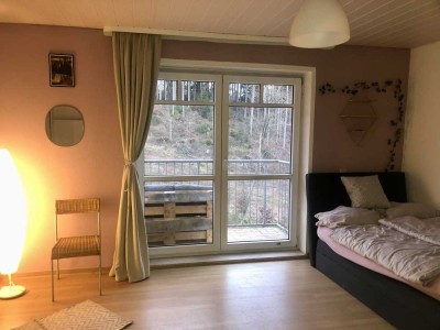 Schöne modern vollmöblierte Ein-Zimmer-Wohnung in ruhiger Lage am Waldrand in Marburg