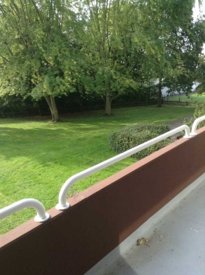 Sonnige Wohnung 1 Zimmer  mit großem Südbalkon und Fahrstuhl