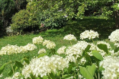 Ⓣraumhaus für die Familie. In der Gartenidylle. Am Starnberger See.