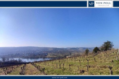 Gepflegte Wohnung mit Mainblick, Weitsicht und Weinbergsnähe in Veitshöcheim zu verkaufen