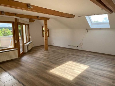 Lichtdurchflutete 3,5 Zimmer Wohnung, Erstbezug nach Sanierung