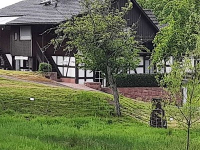 Stilvolles Fachwerkhaus in Schwarzwaldlage – charmant, flexibel, naturnah, bis zu 3 Wohneinheiten