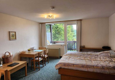 möblierte 1-Zimmer-Wohnung mit Balkon und Küchenzeile