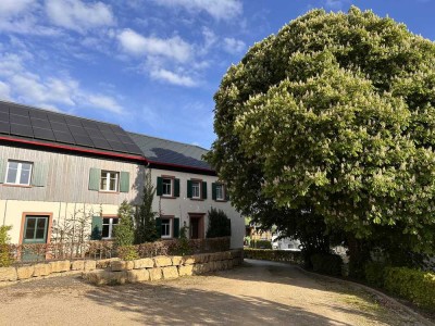 kernsaniertes Mehrfamilienhaus in Schönecken