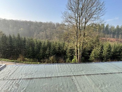 Schlüsselfertig!! Große 4 Zimmer Neubau Wohnung KFW 40 in Neunkirchen-Seelscheid