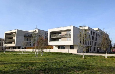 Ihr Logenplatz am Rhein - Wohnen am Wasser