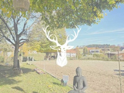 Stilvoller Pferdehof mit flexiblem Gewerberaum, zwei Wohnungen und 1,3 ha arrondierter Fläche