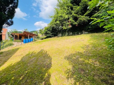 Traum-Wohnung mit Garten & Terrasse inkl. Einbauküche und PKW Stellplatz