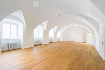 Exklusivges Wohnen/Arbeiten in ruhiger Parkanlage (ST5 T01)