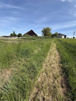 ++Hofstelle++Pferdeliebhaber++Einfamilienhaus++