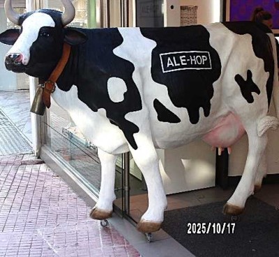 Vollmöblierte zentrumsnahe 2 Zi.- TOP - SINGLE - Wohnung - im Premium-Objekt