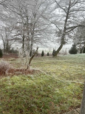 Freundliche und sanierte 3-Raum-Wohnung mit gehobener Innenausstattung mit EBK in Waldalgesheim