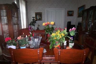 Schöne geräumige Wohnung in der  Nähe der Stadtmitte