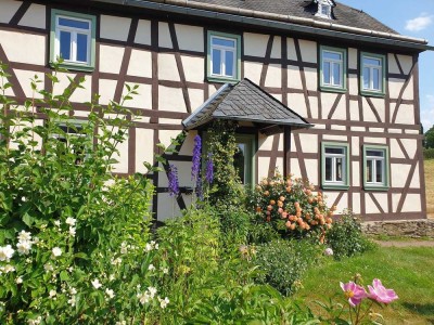 Dreiseitenhof mit saniertem Haupthaus, separatem Ferienhaus und großer Scheune