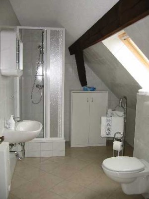 Dachgeschoßwohnung im Grünen zu vermieten