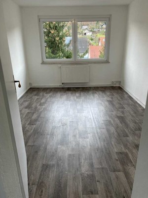 Frisch renovierte 3-Zimmer Wohnung im 3.OG