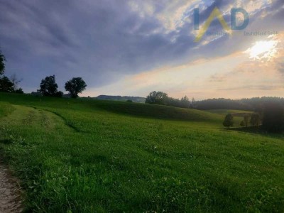 Mehrfamilienhaus mit großem Potenzial