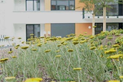 Schicke 3-Zimmer-Wohnung mit hochwertige Einbauküche an der Hafeninsel in Offenbach