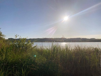 TOP-GELEGENHEIT IN MATTSEE: WOHNEINHEIT SAMT SEEZUGANG I RUHELAGE &amp; ABENDSONNE