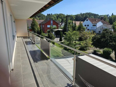 Sehr schöne renovierte 4-Zimmer-Wohnung mit gehobener Ausstattung und tollem Balkon in Holzheim