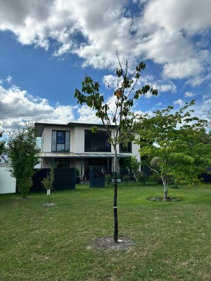 Exklusives Wohnen mit Weitblick - Charmantes Einfamilienhaus