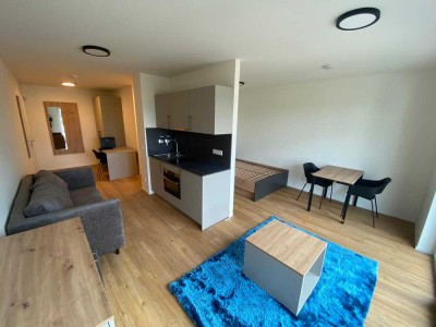 Helle 1-Zimmer Wohnung mit Balkon in Nürnberg-Gostenhof