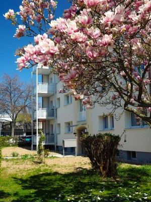 Modernisierte 2 Zimmer Wohnung  mit Balkon in Sindelfingen