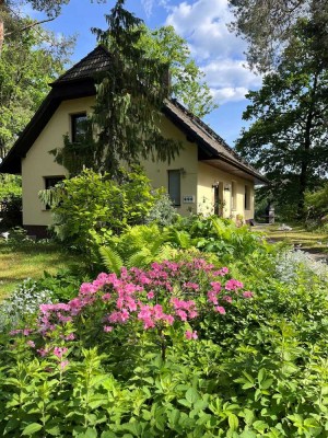 Großzügiges Haus im Grünen direkt am Elsensee zu vermieten!