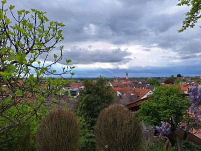 Charmantes 1-Zimmer-Apartment