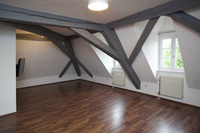 Geräumige und modernisierte 1-Zimmer-DG-Wohnung mit Einbauküche in Karlsruhe-Neureut