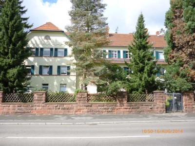 Helle sanierte Altbauwohnung in Speyer Kernstadt-Nord, nähe Bahnhof