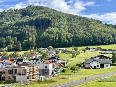 Blick ins Grüne in Pinsdorf.