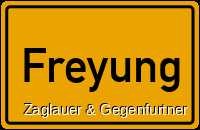 Rarität Nähe Freyung - Ferienhütte mit Bienenhaus und  Fischweiher - totale Alleinlage!!!