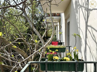 Viel Platz in ruhiger Lage mit flexibler Raumgestaltung