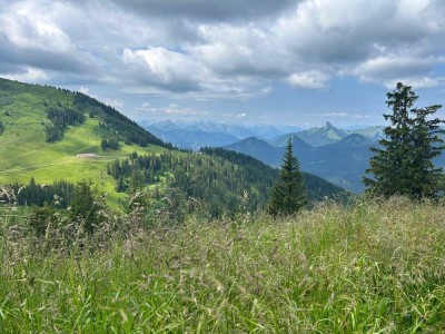 Sonnige Erdgeschosswohnung in zentraler Lage