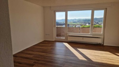 Frisch renovierte 1-Zimmer Wohnung mit tollem Blick über Steinen