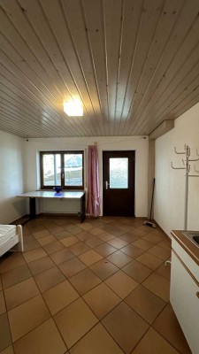 1-Zimmer-EG-Wohnung in Konstanz-Dettingen