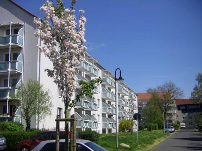 Klassiche 3Raumwohung für die kleine Familie, sonnig und gepflegt.