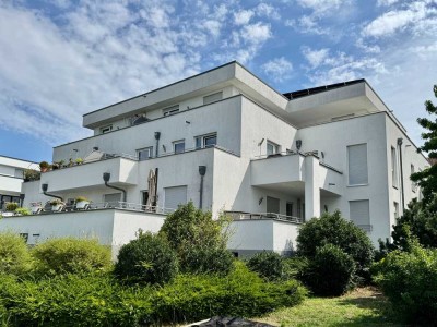 Wohnen mit Licht, Luft und Weitblick - Penthouse mit rundumlaufender Terrasse
