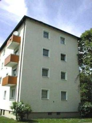 Neu-renovierte 2,5 Zimmer-Wohnung