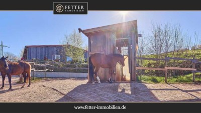 Reitanlage in Rheinland-Pfalz – moderner Aktivstall im Donnersbergkreis!