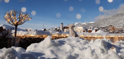 Exklusive Penthouse-Maisonette mit 100 m² Dachterrasse und Alpenpanorama!