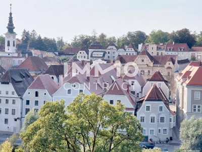 Traumhaft - Altbauflair - 5 Zimmer 166m² Wohnung mit kleiner Loggia in Steyr - nahe Zentrum