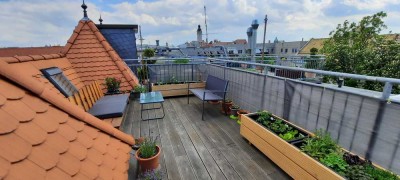 Top 1Raum-Wohnung! Terrasse mit Blick über die Dächer! Mitten in der City!