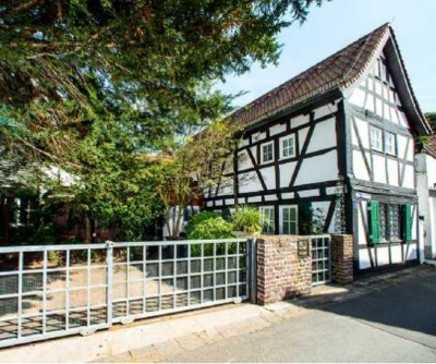 Wohnen mit Stil: Altstadtwohnung mit Terrasse, Kamin & Naturstein-Gewölbe