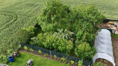 Wohnung mit großzügigen Garten (wird Kernsaniert, auch nach Wunsch)