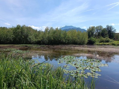 Juwel Krottensee - Ruhe Oase ein Steinwurf von Ihrem neuen ZUHAUSE