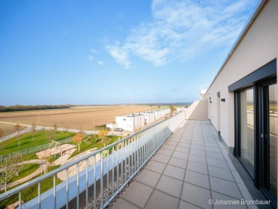 Geförderte 2 Zimmerwohnung mit großer Dachterrasse in Absdorf! Erstbezug!