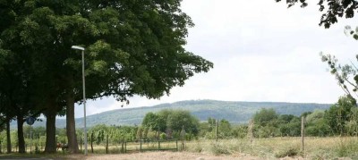 Wohnung in grüner Lage Bad Homburgs