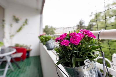 4-Zimmer-Wohnung mit Loggia | Schallmoos